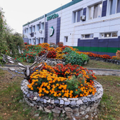 МОРСЕль, оздоровительный центр