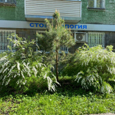 Вита-мед, Стоматологическая клиника