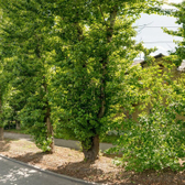 Стоматологический кабинет «Семь плюс»