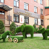 Тори Клиник (Tori Clinic), центр косметологии