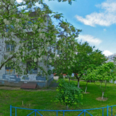 «Центр когнитивной терапии»