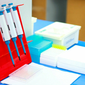 Лаборатория «CL»