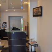 Лекарь на Новой