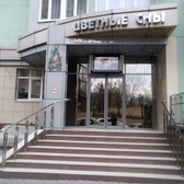 Центр эстетики и здоровья «Цветные Сны»