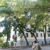 Великолукский детский санаторий