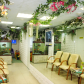 Стоматология Дункан на Шаврова