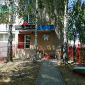 Президент на 8 Марта