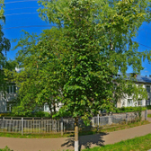 Поликлиника №3 на Ленина