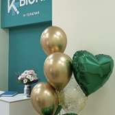 Biorise, Клиника восстановительной медицины