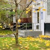 Институт аллергологии и клинической иммунологии КДО № 4 в Жулебино