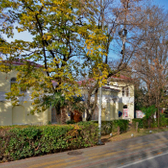 Оптимум на Виноградной