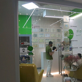 Стоматология «Пломба» (ранее «Дента Стар»)