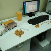 Лаборатория «Гладент-Эксперт»