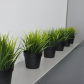 Умма на Тихом