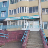 Диметра на Салмышской