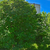 Детская поликлиника №2