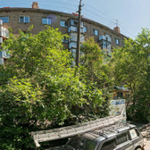 «Центр традиционной медицины»