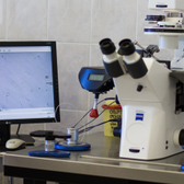 Городской Центр Лечения Бесплодия при Мариинской больнице