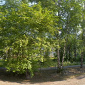 Кожно-венерологический диспансер