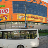 Хамелеон на Русской