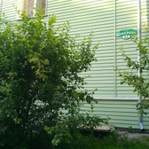 Поликлиника №27 на Вавилова 12 (ранее поликлиника №9)