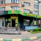 Тест на Станке Димитрова