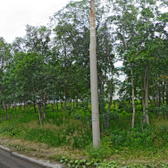 Детская городская больница