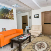 Анима на Семьи Шамшиных