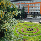 Санаторий «Солотча»