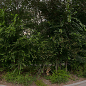 Женская консультация №10