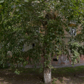 Кожно-венерологический диспансер