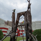 Краевая больница