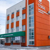 Сова на Чернышевского