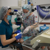 КИТ, стоматологический центр