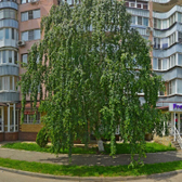 Клиника «Илифия»