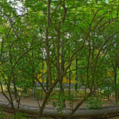 Женская консультация №2 роддома №2