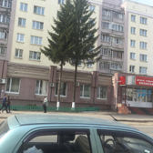 Детская стоматологическая поликлиника