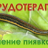 Здоровье нации, центр восстановительных методик