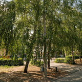 Стоматология «Персона Грата»