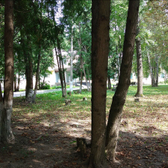 Санаторий «Бобачевская роща»