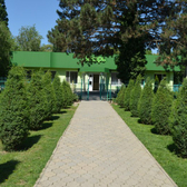 Лекарь, медицинский диагностический центр