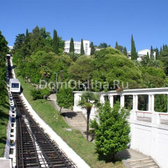 Санаторий «Сочинский»