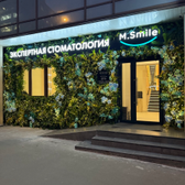 M. Smile на Гашека