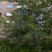 Наркология «Новосибирский центр профилактики»