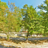 Тольяттинский диагностический центр №1 на Баныкина