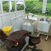 Стоматология «Династия»