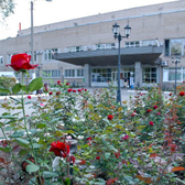 Городская клиническая больница №1