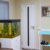 Женский Центр на Чкалова