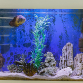 Стоматология «Mira»