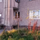 Поликлиника на Кильдинской